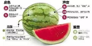 微信吃瓜漫画,揭秘娱乐圈幕后故事  第1张