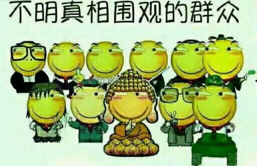 吃瓜群众麦麦小哥,吃瓜群众的趣味解读  第1张