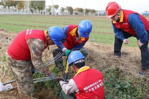 吃瓜群众麦麦小哥,吃瓜群众的趣味解读  第2张