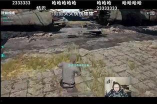 吃鸡瓜神,揭秘游戏背后的传奇故事  第3张