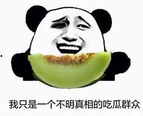 快来当个吃瓜群众,快来当个吃瓜群众，一探究竟！  第1张