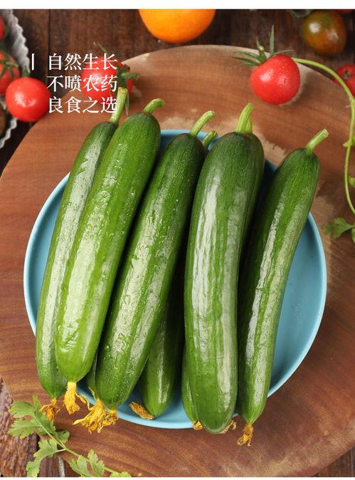 小瓜生瓜蛋子怎么吃,家常美味新吃法探索