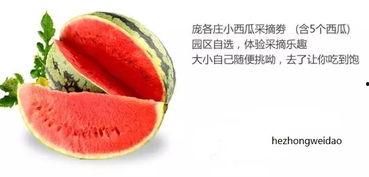 描写吃瓜味道片段,一场味蕾的盛宴  第1张