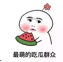 大热天不用出门吃瓜在家也能吃瓜,尽享清凉瓜果盛宴