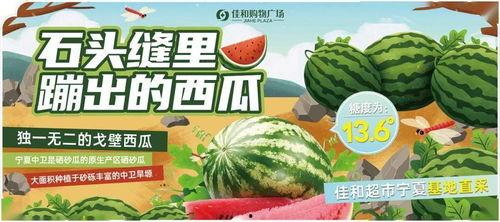 吃瓜比赛热门视频,盘点吃瓜比赛热门视频，笑料百出！