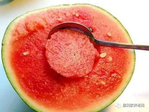 香草喵露露吃瓜,香草喵露露的瓜田奇遇记  第2张