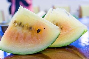 吃雪糕的瓜,揭秘雪糕界的甜蜜传奇  第3张