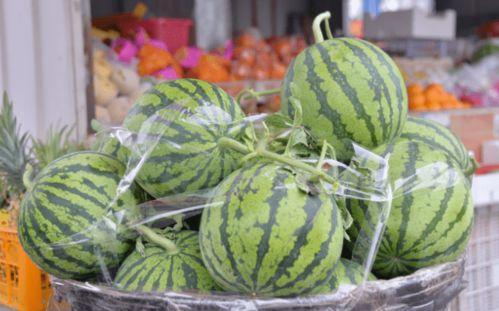 保持吃瓜状态,揭秘娱乐圈的吃瓜日常  第1张