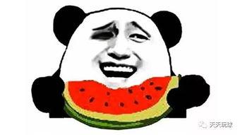 保持吃瓜状态,揭秘娱乐圈的吃瓜日常  第2张