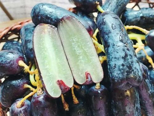 保持吃瓜状态,揭秘娱乐圈的吃瓜日常  第3张