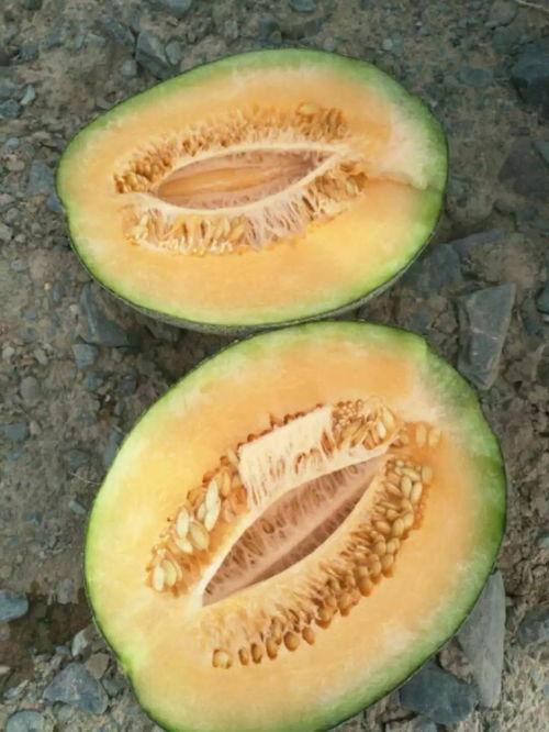 电话吃瓜,揭秘娱乐圈幕后故事  第2张