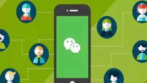 小程序白夜吃瓜,揭秘网络热点的背后故事  第2张