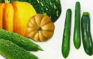 完颜吃瓜,揭秘娱乐圈幕后故事