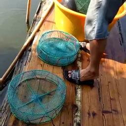 吃瓜渔民林有有,吃瓜渔民的趣味人生  第2张