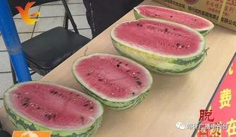 襄县吃瓜,吃瓜也能吃出文化味  第1张