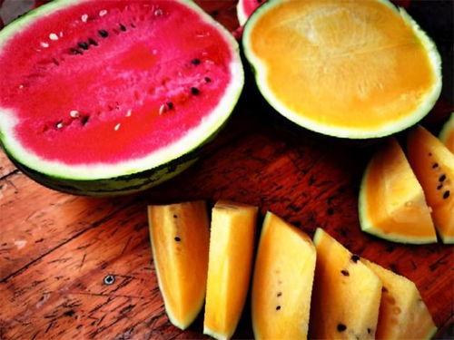 襄县吃瓜,吃瓜也能吃出文化味  第2张