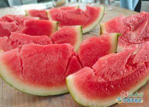 襄县吃瓜,吃瓜也能吃出文化味  第3张