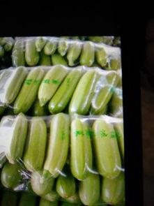 吃瓜中细长条的是什么瓜,揭秘神秘瓜类之谜