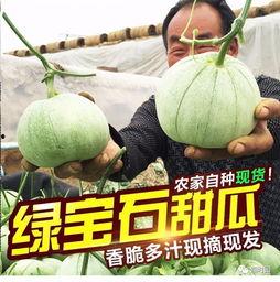 今日开心吃瓜,盘点娱乐圈新鲜事，笑料不断！