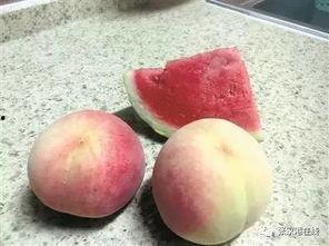 桃子姐姐吃瓜,揭秘娱乐圈那些不为人知的幕后故事