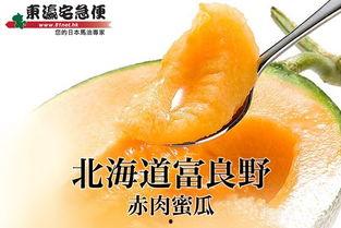吃极品蜜瓜,探寻极品蜜瓜的独特魅力  第3张