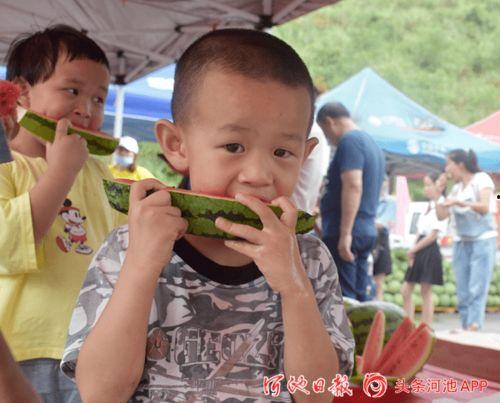 上朝吃瓜37,揭秘37号瓜背后的宫廷秘闻  第2张