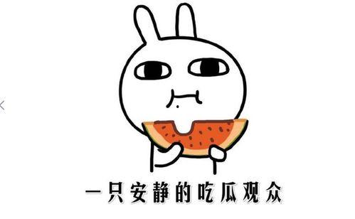 吃瓜学渣人物介绍,揭秘校园里的“瓜田”奇闻轶事  第2张