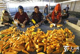 伽师瓜干怎么吃  第3张