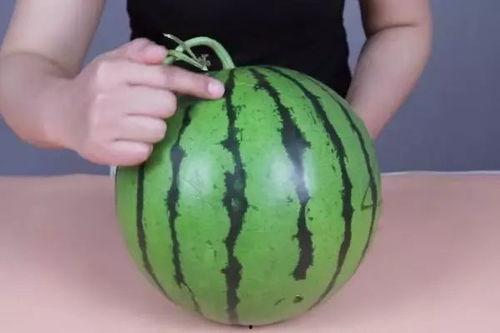 吃瓜甜还是解渴,瓜果的口感盛宴