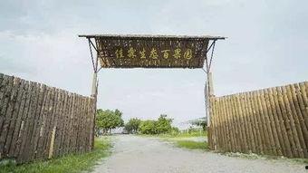 吃瓜亭桃源布局,布局揭秘，体验隐逸田园生活  第3张