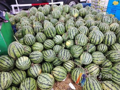 宁波1235吃瓜,揭秘网络热点的背后真相