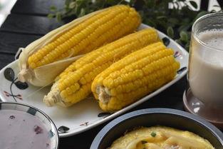 哈密瓜上午吃,开启健康活力新一天