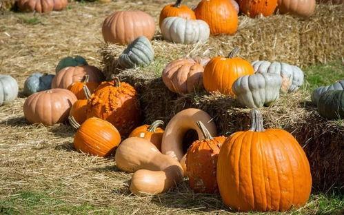 一卡吃瓜,揭秘娱乐圈背后的秘密与八卦  第2张