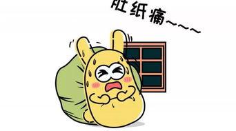 带你吃瓜吃货  第1张