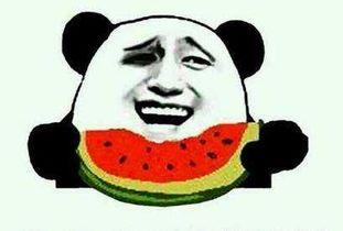 带你吃瓜吃货  第3张