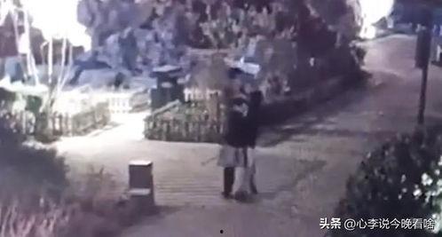 黄村吃瓜事件视频,一场引发热议的网络狂欢