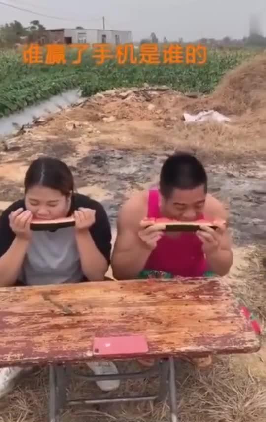 竞人集体吃瓜,竞人集体吃瓜，欢乐无限