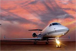 吃瓜大佬小飞机,瓜界风云录  第2张