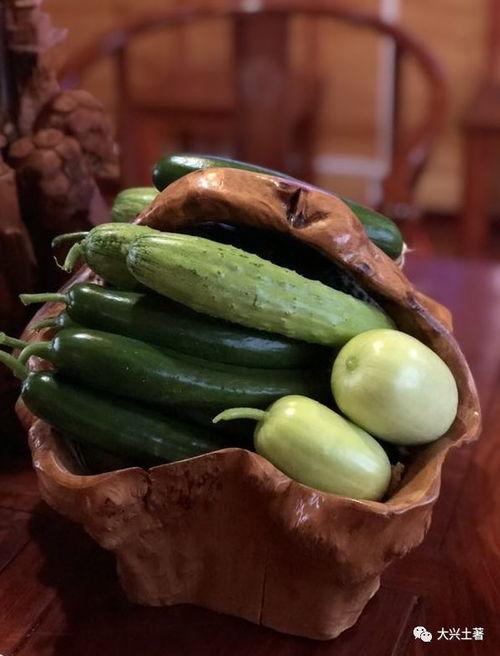 网红广东吃瓜,揭秘美食背后的故事与趣味