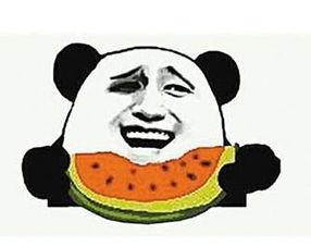 吃瓜群众女生头像,揭秘吃瓜群众女生头像背后的故事