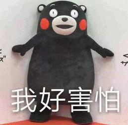 类似吃瓜事件盘点,笑料与深思并存