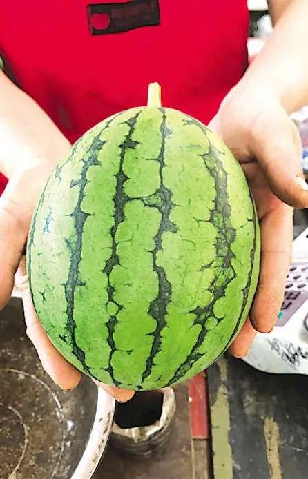 耐耐吃瓜,揭秘娱乐圈那些不为人知的幕后故事