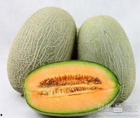 可以吃哈密瓜,哈密瓜的甜蜜诱惑 第2张 可以吃哈密瓜,哈密瓜的甜蜜诱惑 第2张