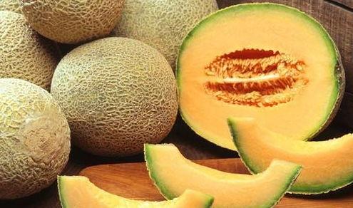 可以吃哈密瓜,哈密瓜的甜蜜诱惑 第3张 可以吃哈密瓜,哈密瓜的甜蜜诱惑 第3张