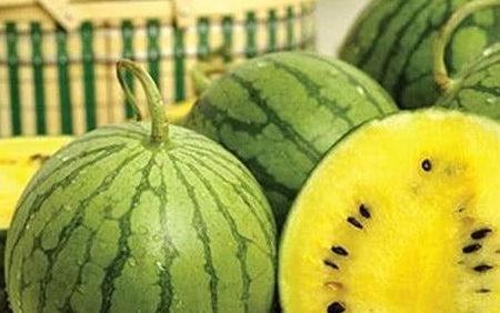 以前吃瓜和最近吃瓜的区别,吃瓜文化的演变与变迁  第1张