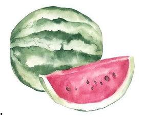 以前吃瓜和最近吃瓜的区别,吃瓜文化的演变与变迁  第2张