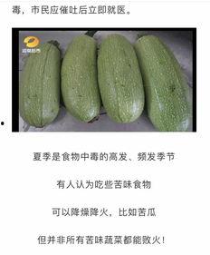 吃少瓜中毒,揭秘吃少瓜中毒的惊人真相 第1张 吃少瓜中毒,揭秘吃少瓜中毒的惊人真相 第1张