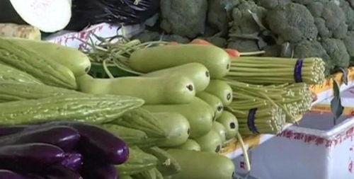 吃少瓜中毒,揭秘吃少瓜中毒的惊人真相 第2张 吃少瓜中毒,揭秘吃少瓜中毒的惊人真相 第2张