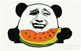 当我吃瓜,揭秘吃瓜背后的趣味与智慧