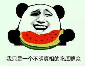 当我吃瓜,揭秘吃瓜背后的趣味与智慧 第2张 当我吃瓜,揭秘吃瓜背后的趣味与智慧 第2张